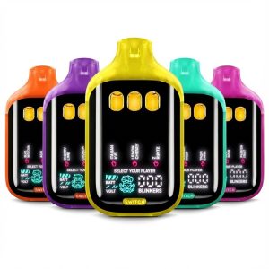 BOUTIQ SWITCH(V5) 2G